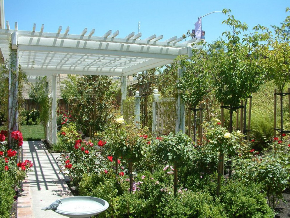 Gazebos and Arbors