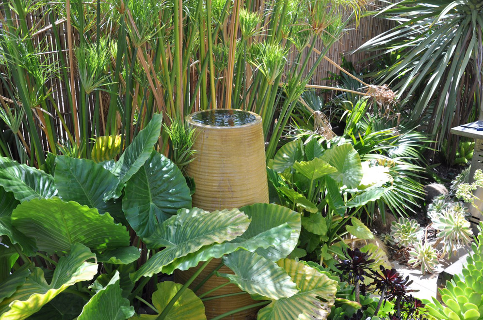 Water Features