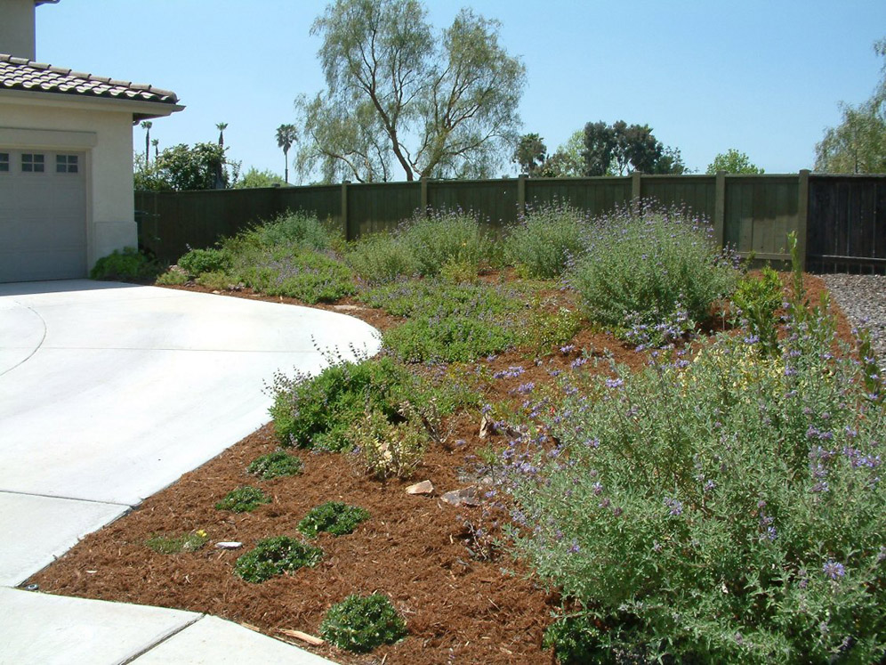 Mulching