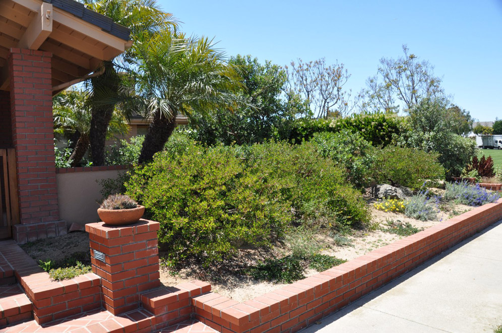 California Native Gardens