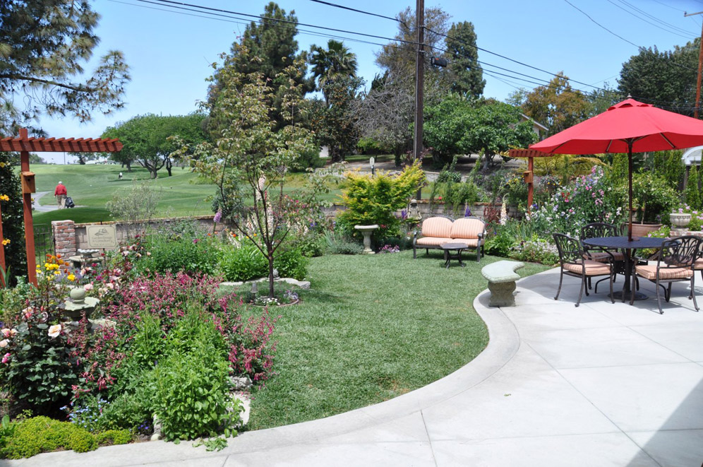 Back Yards