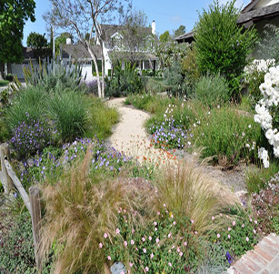 Winding Road Garden