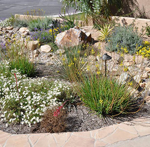 Trindle Dry Creek Bed Garden